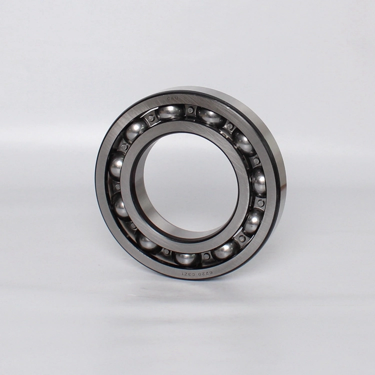 Single Row Stainless Steel Deep Groove Ball Bearing 6310 Ball Bearings with Extended Inner Ring Seal on Both Sides for High Temperatures with Snap Ring